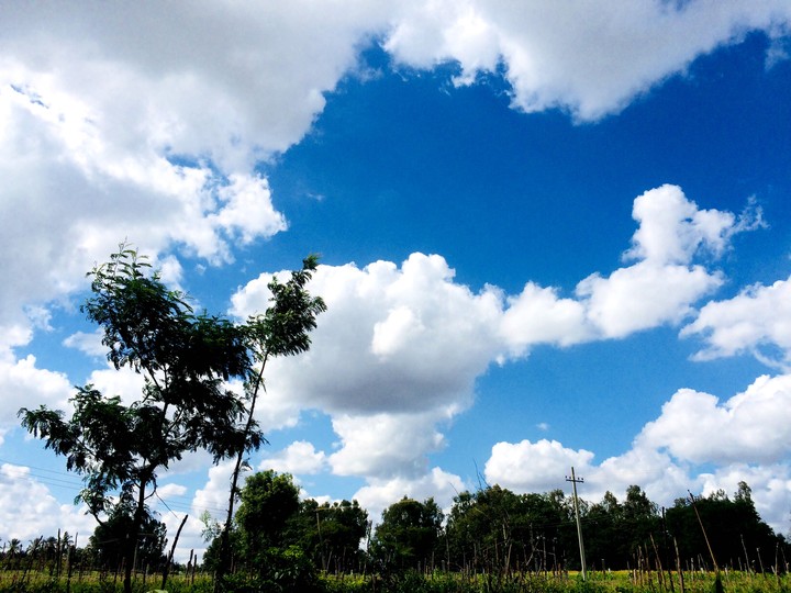 Sky