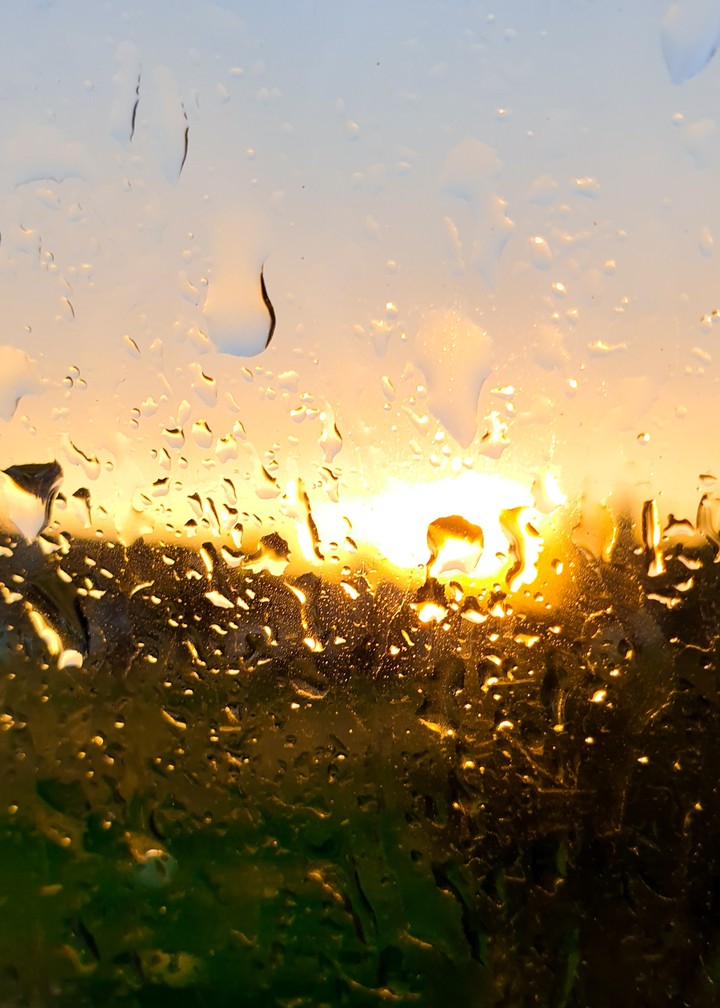 Rain drops on the window