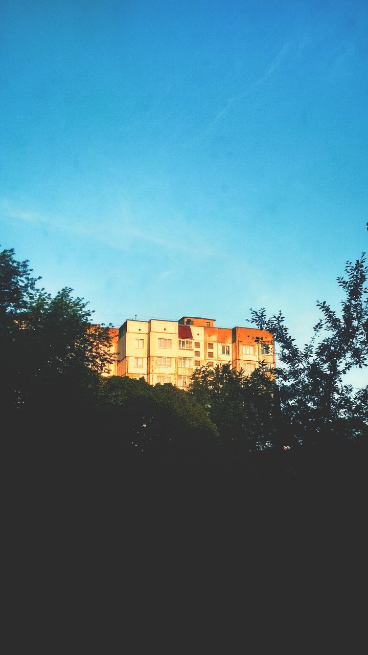 morning
