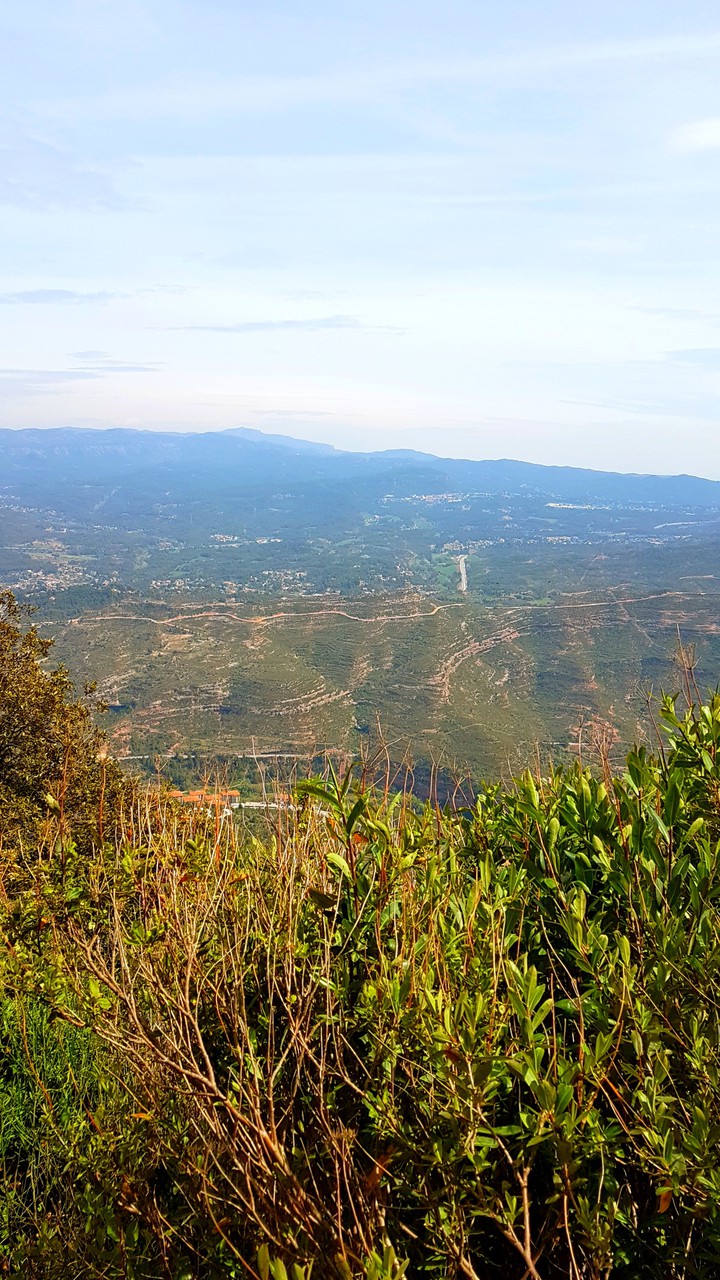 paysage