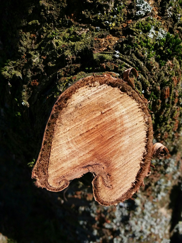 ??