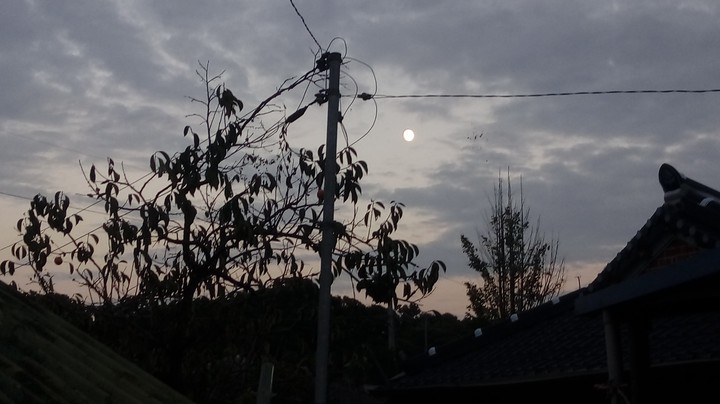 하늘