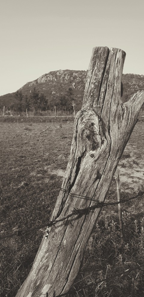paysage