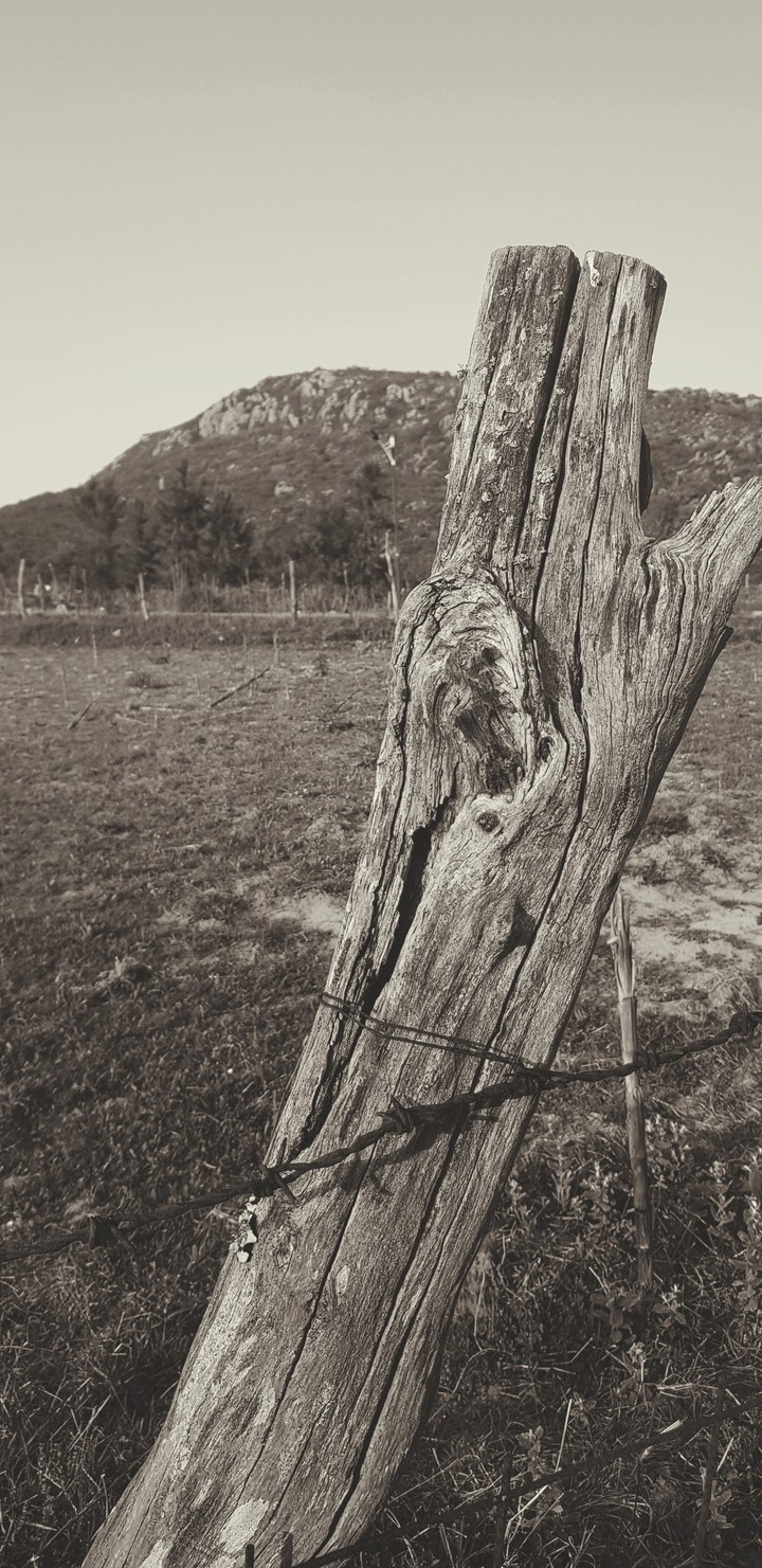 paysage