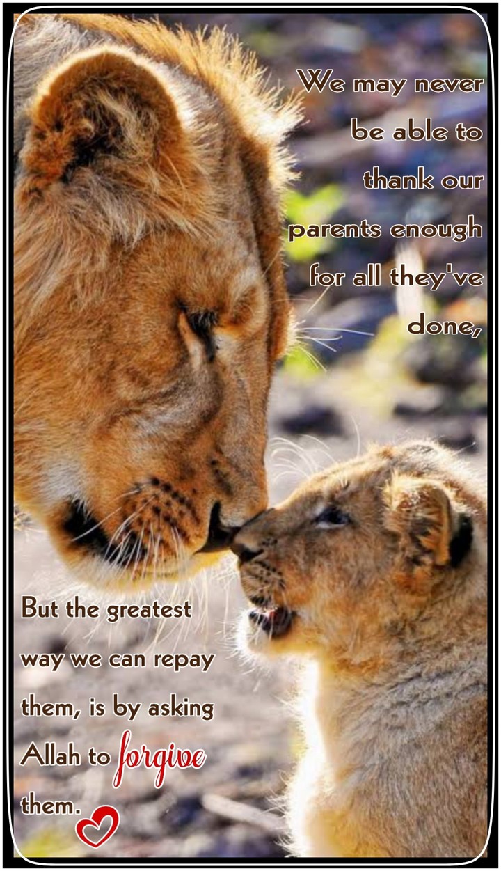 Beautiful quote.