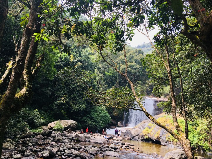 Nature