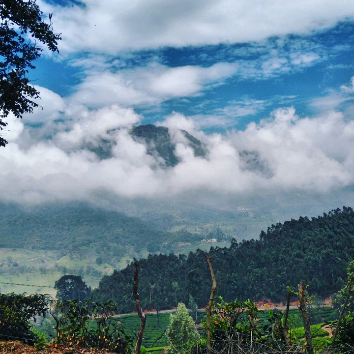 munnar,India