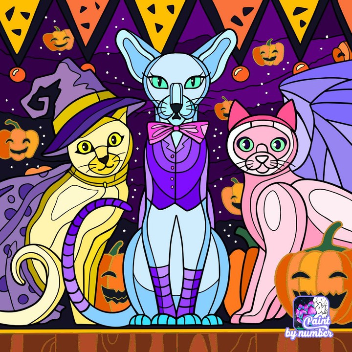 koty halloween