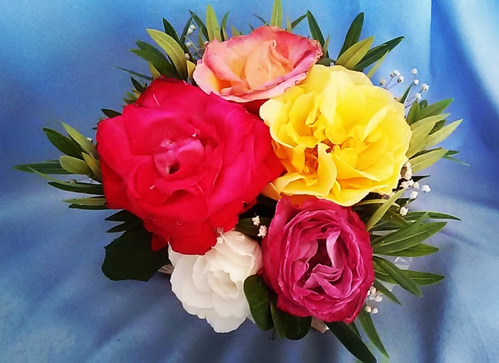 Flover