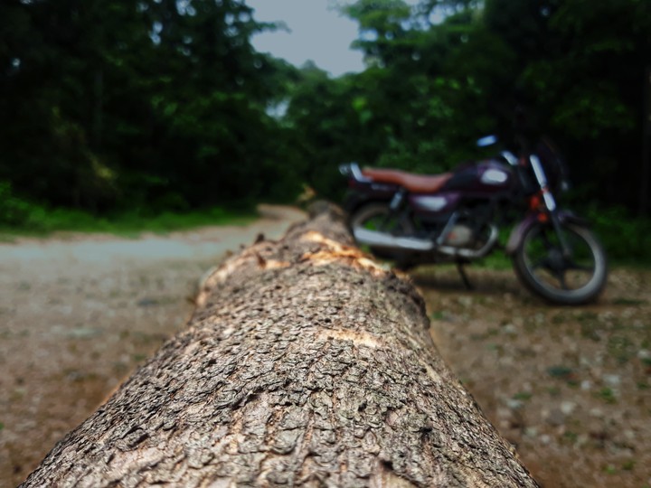 trip_00__graphy/biketrip