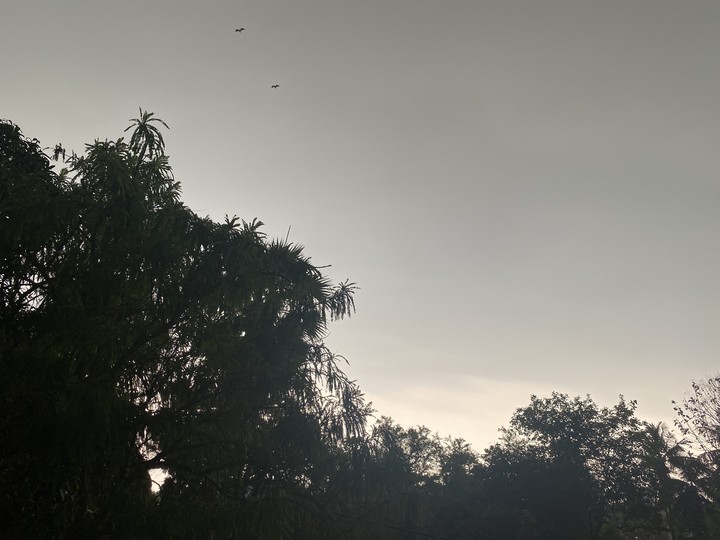 morning rainy season