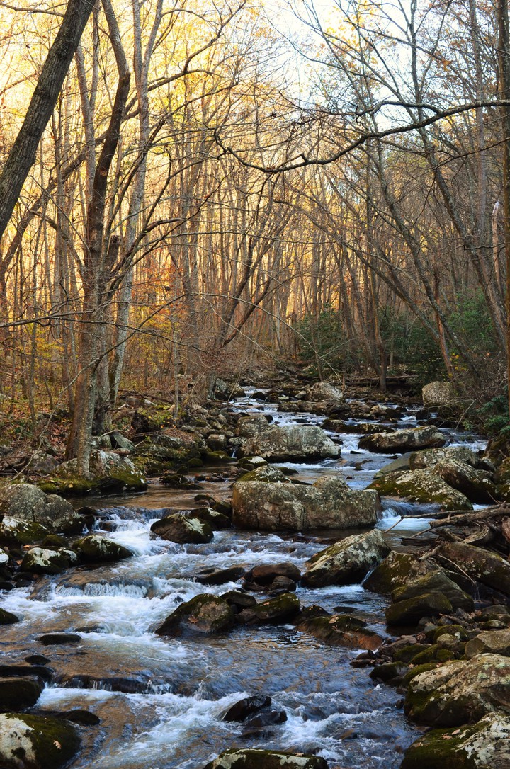 creek