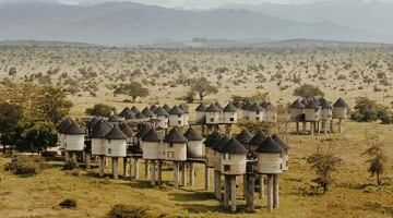 Serengeti national park
