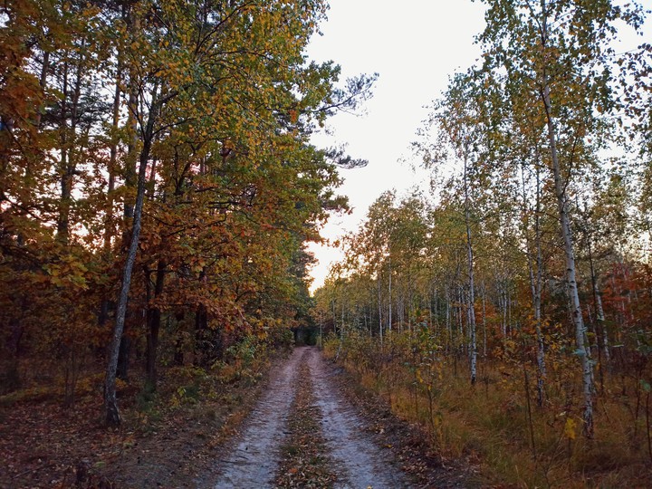 Autumn