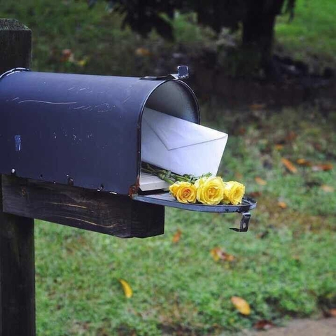 letter and roses