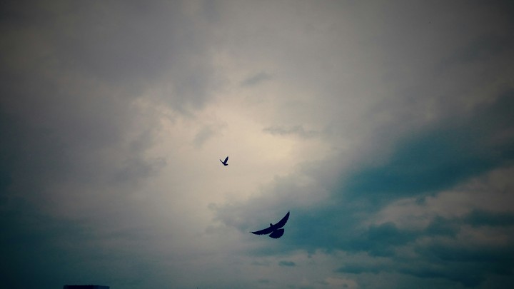 The sky is ours... we are the ruler...
