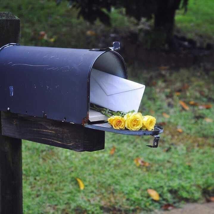 letter and roses