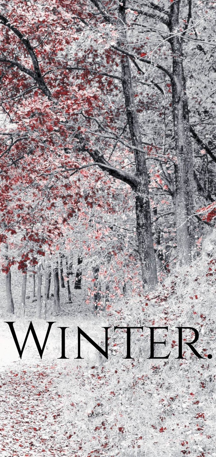 winter