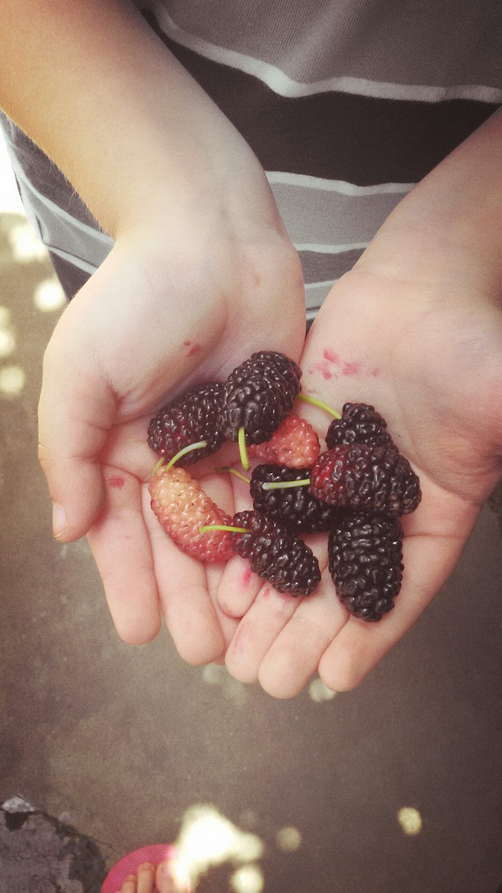 moras