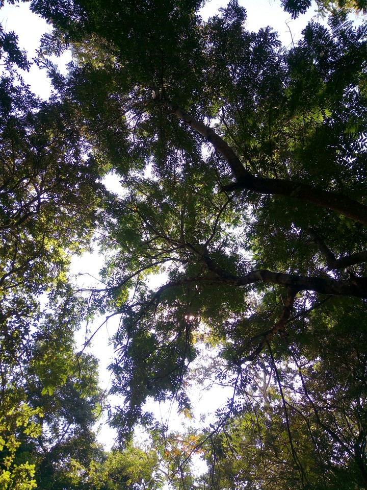Breath~