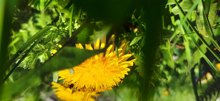 Spring is beautiful with its colors