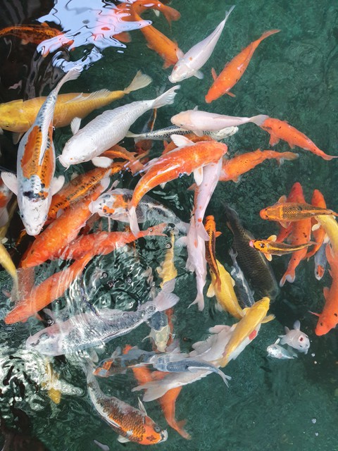 파문