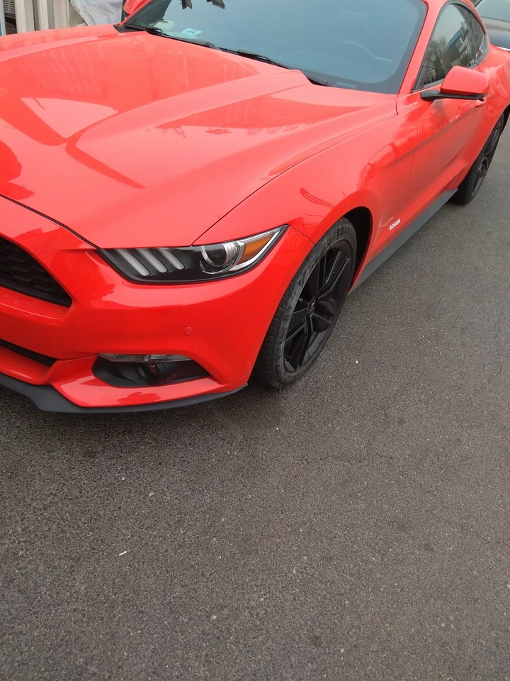 GT