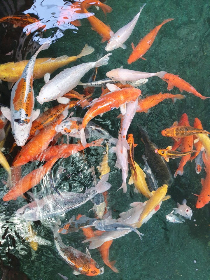 파문