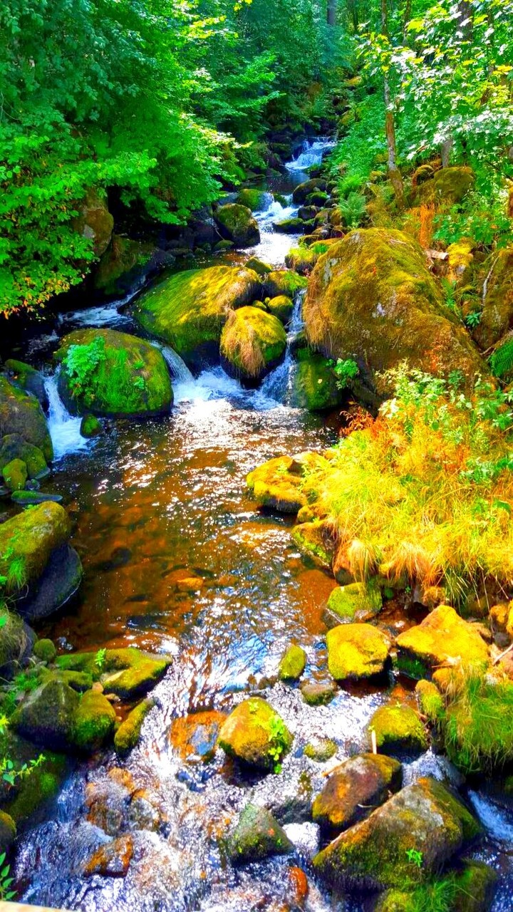 Waterfall