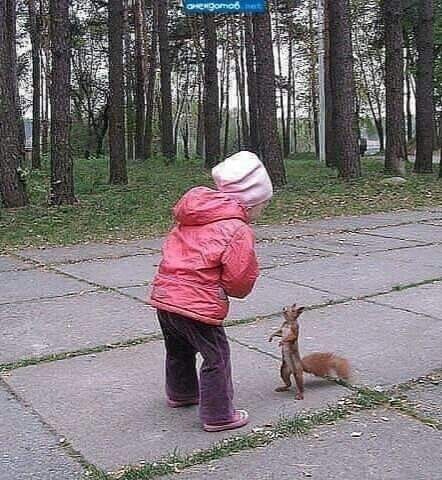 встреча