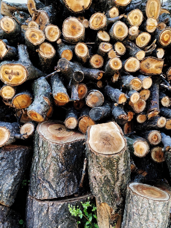 wood