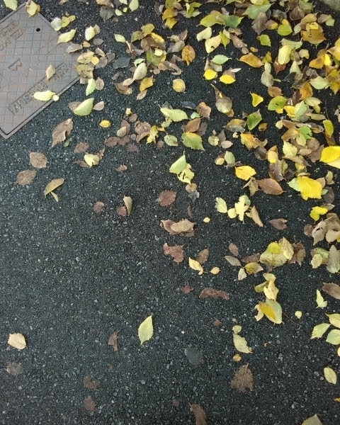 fogliecadute, gravel háttérképek