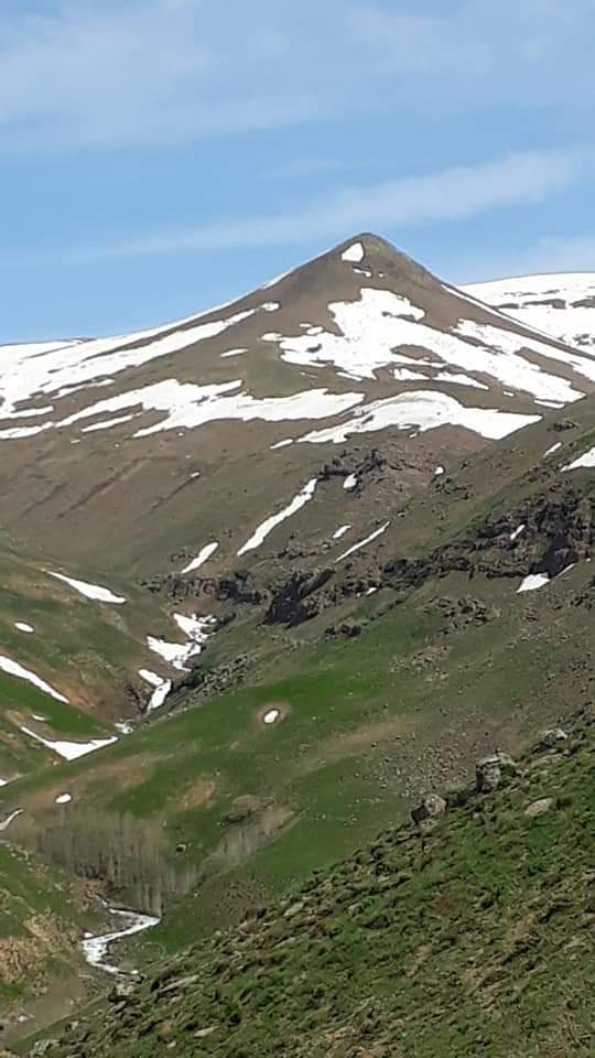 goşğarba