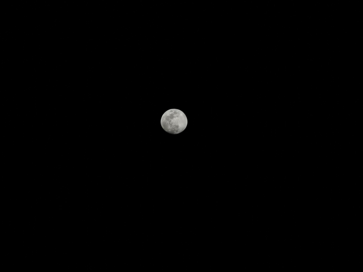 p30 pro