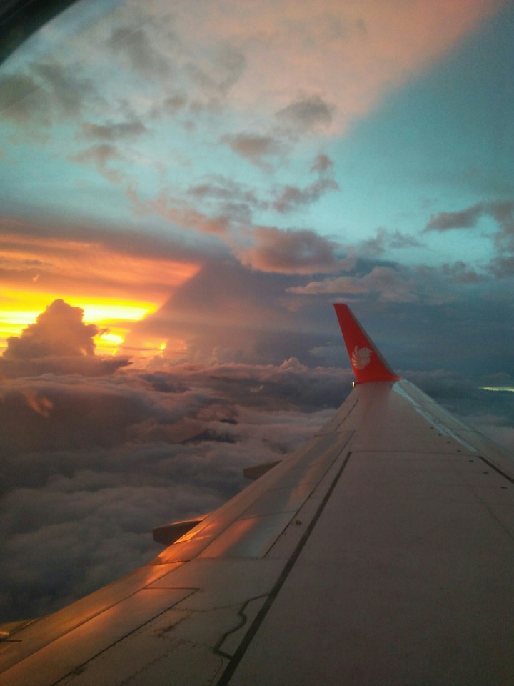 my wing