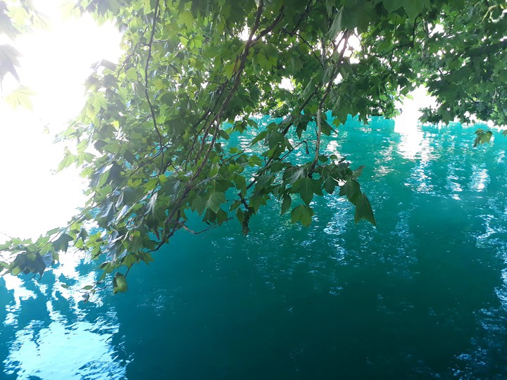 Lake