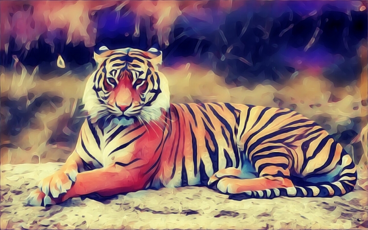 Majestic Tiger