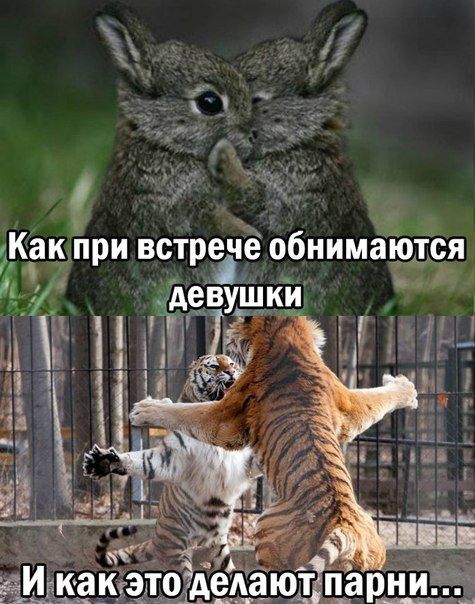 ха
