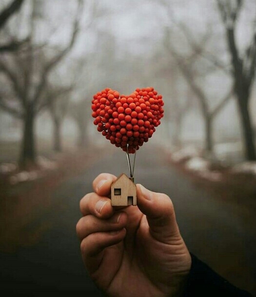 love