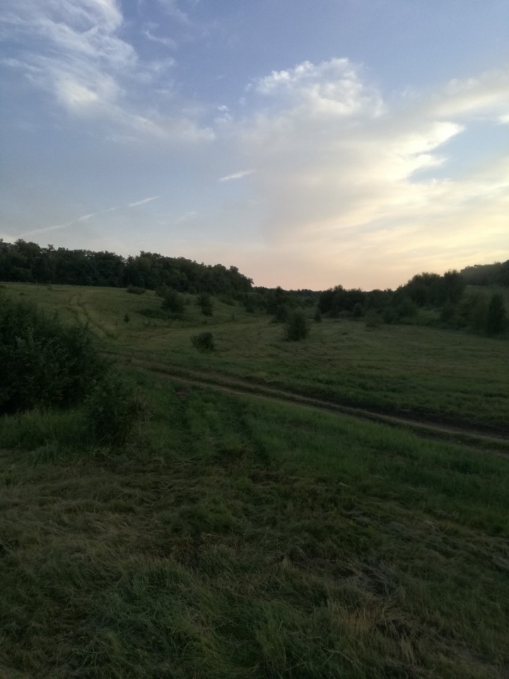 лето