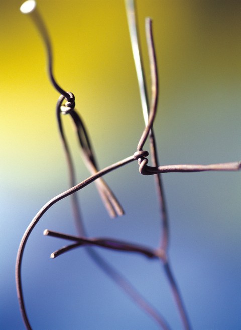 Wire