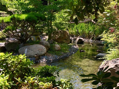 Arroyo