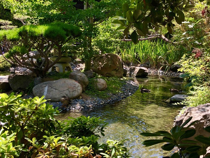 Arroyo