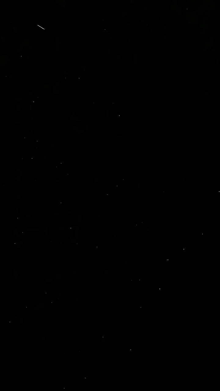 night