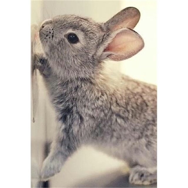 ❤