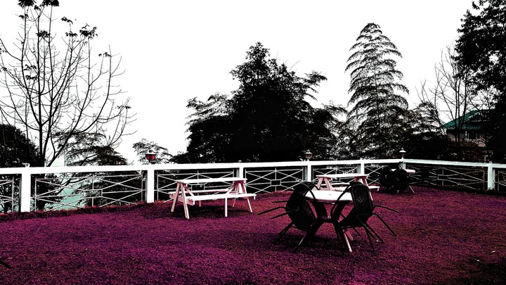 Garden of Happiness
