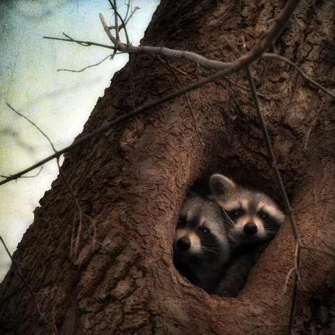 Hi There