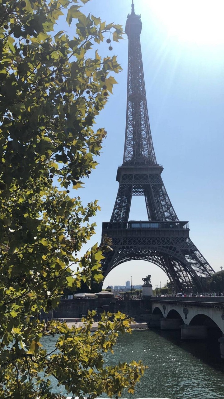 Paris Diaries