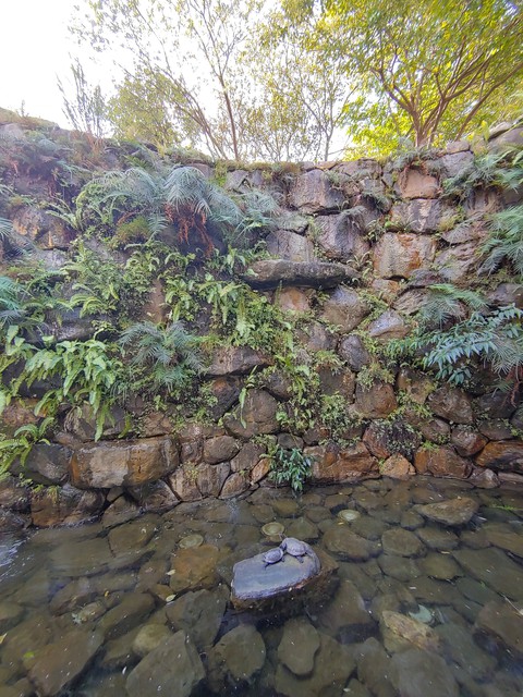 landscape, groundcover वॉलपेपर