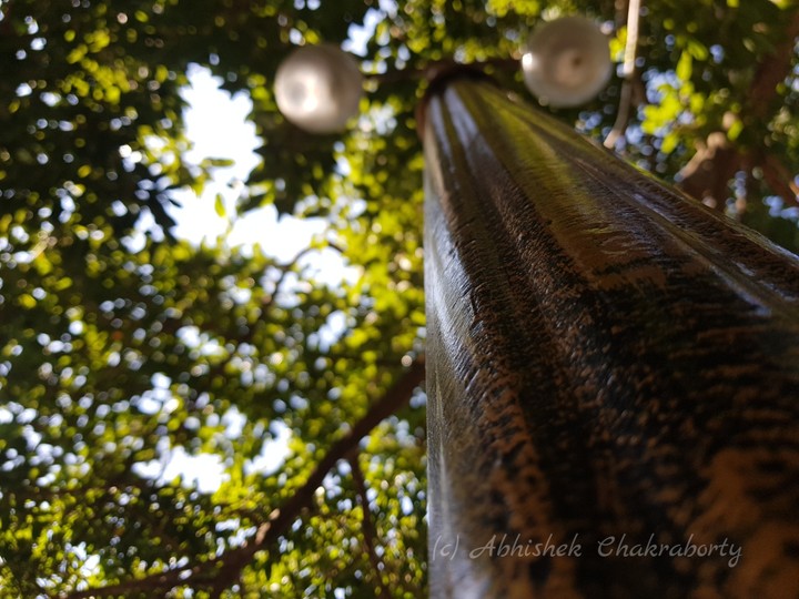 Streetlights